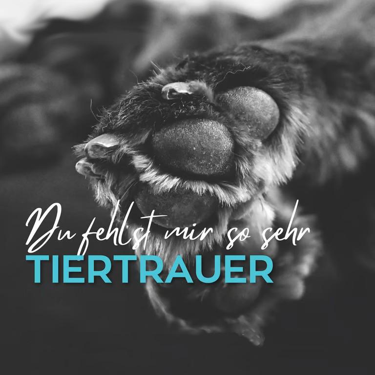 Tiertrauer