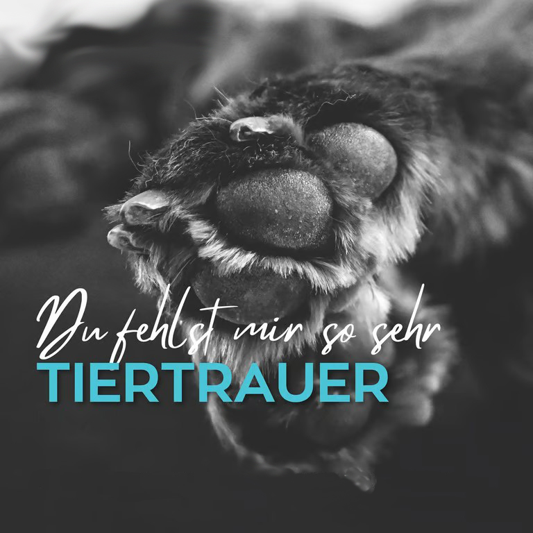 Tiertrauer (c) tierisch-verbunden.at